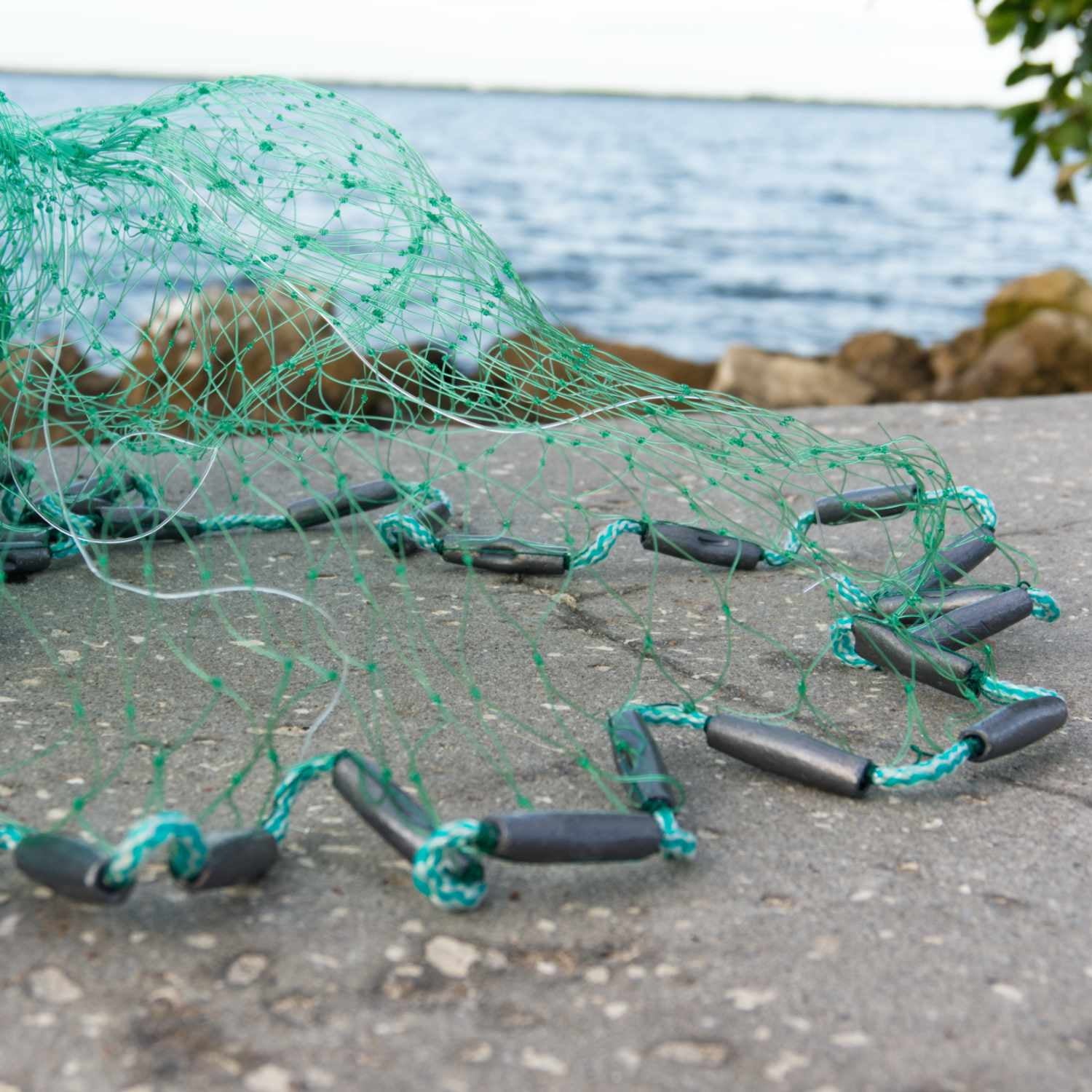 Bait Buster Mullet Cast Nets : (1-1/4' Sq Mesh ) (CMLMB, 6, Green)